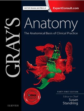 grey anatomy season 1 complete download