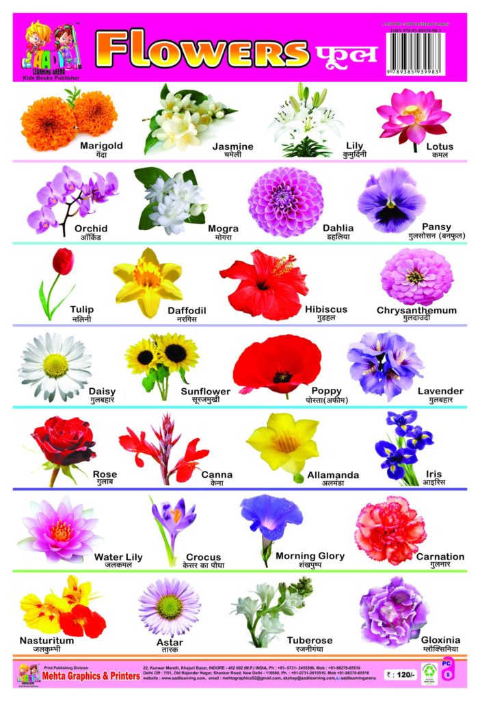 All Flowers Name A List Of Flower Names From A To Z Dengarden Here
